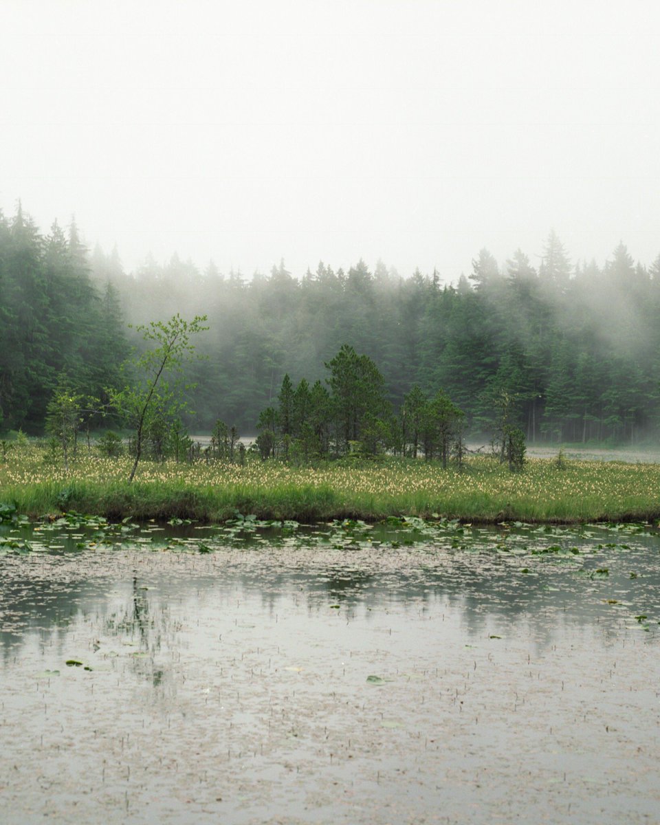 download Lean Development: Aktueller