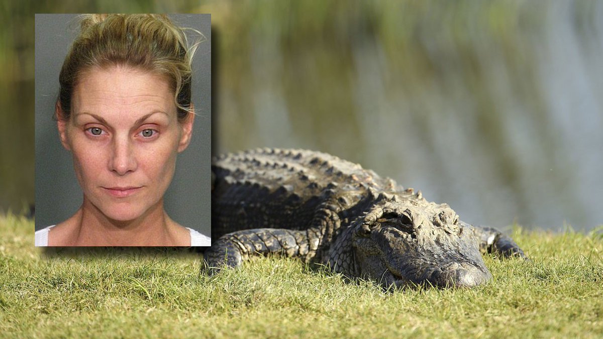 Woman found guilty of feeding the body of her husband's ex-girlfriend to alligators bit.ly/2wrdqeJ?utm_so… https://t.co/2TEyjiLoqX