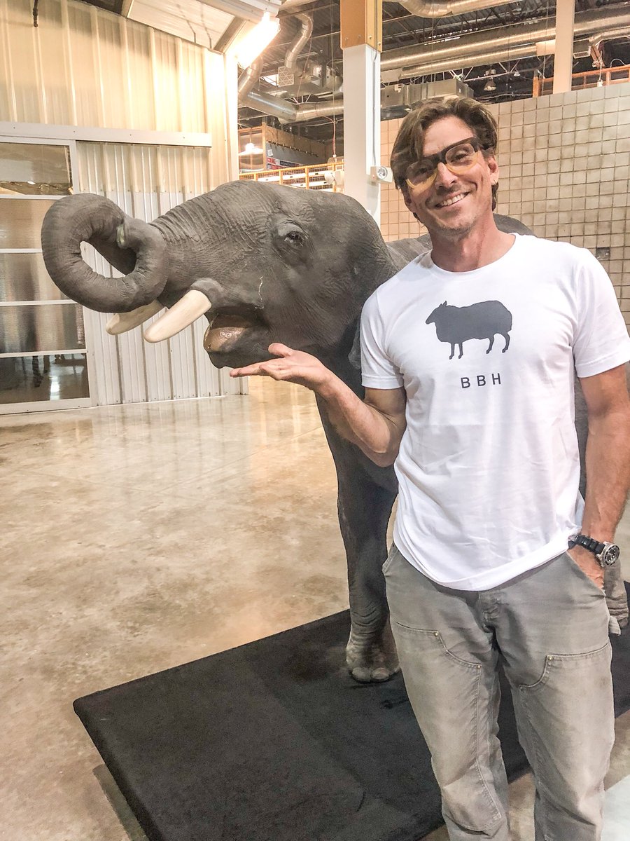 Couple ad critters hanging out.  <a href="/BBHblacksheep/">BBH</a> and @cpbgroup elephant in the room. #agencycrush #risingtide #abundance