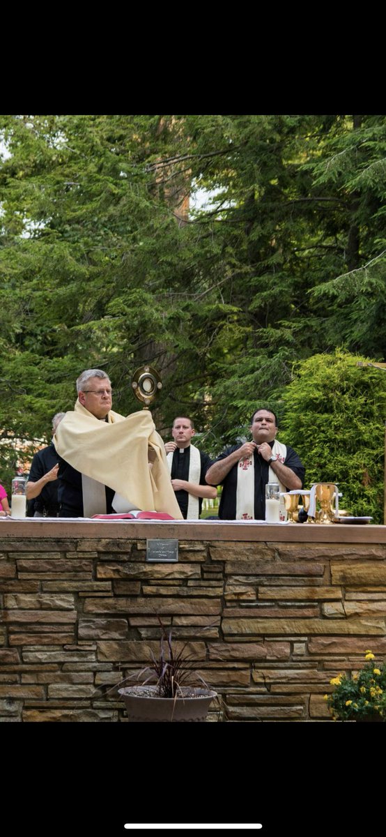 SRWEuclid's tweet photo. Awesome Eucharistic procession from SRW to SJC with both communities, followed by mass and picnic! https://t.co/F6I2e8TMgp