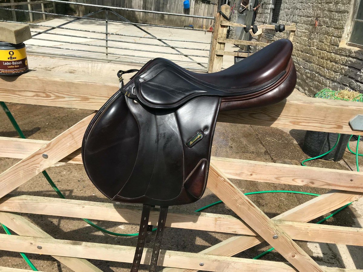 Bonnie Bartlett tweet media