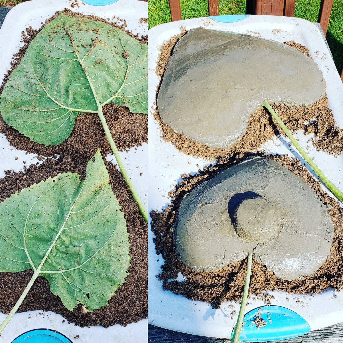 QualityCrafter1's tweet photo. Can't wait to see how these cement leaves turn out! 

#easydiy #gardenart #TuesdayMotivation #qualitycrafter #etsy #makingit #thebestonetsy #diydecor #diyhome #farmhouse #diyfarmhouse https://t.co/zjlsdKMhyH