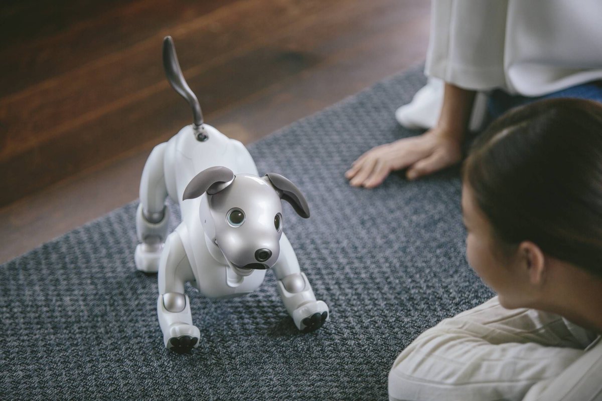 AnsonMcCade's tweet photo. Aibo, the newest member of the family? Hope your ready to spend over $2,500.
Read More: https://t.co/H1bOpcIJ9Q
#Sony #technofamily #techdog #dog #robotdog #robot #AI #AIDog #cloud #technology #technews https://t.co/3dj3ROd3bh
