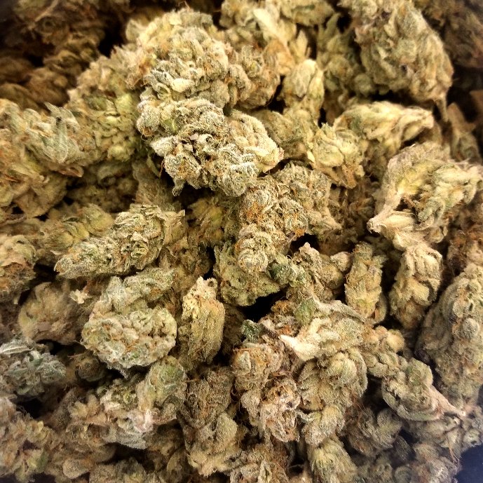 #CitrusBerry 😍
.
.
.
#azmmj #azcannabis #medicalmarijuana #prop203