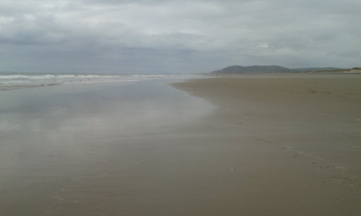 GeorgeMonbiot's tweet photo. That's the trouble with Welsh beaches in August - they're packed. https://t.co/2WPKIlyElZ