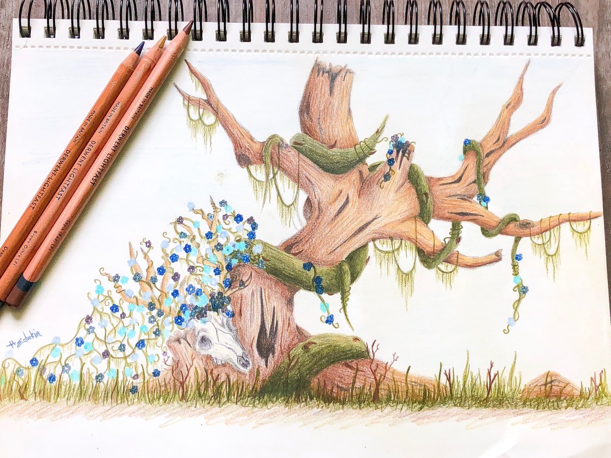 NimbleCrowCraft's tweet photo. Finally getting back in the swing of things and posting my #sketchboxaugust drawing. Colored pencils (and drawing in general) are not in my comfort zone, so I'm pretty happy with this! @getSketchBox https://t.co/xoulYDRRpZ