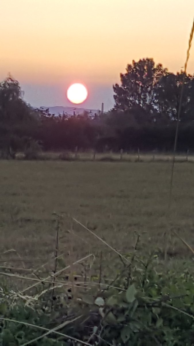 fanfanmonique42's tweet photo. Joli lever de soleil ce matin
#plaineduforez
@tourisme42 https://t.co/7fTh3X2NwF