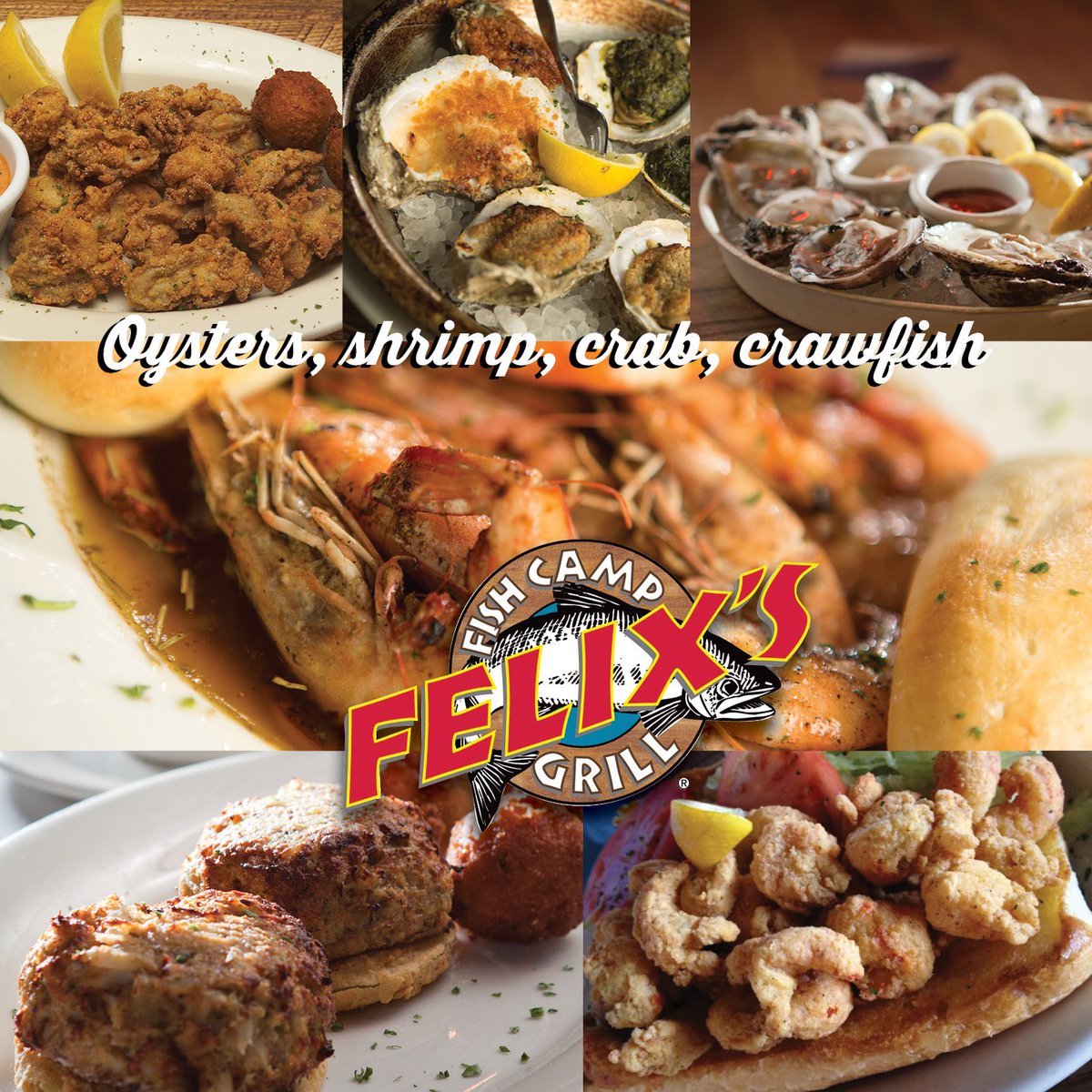 Felix's Fish Camp tweet media