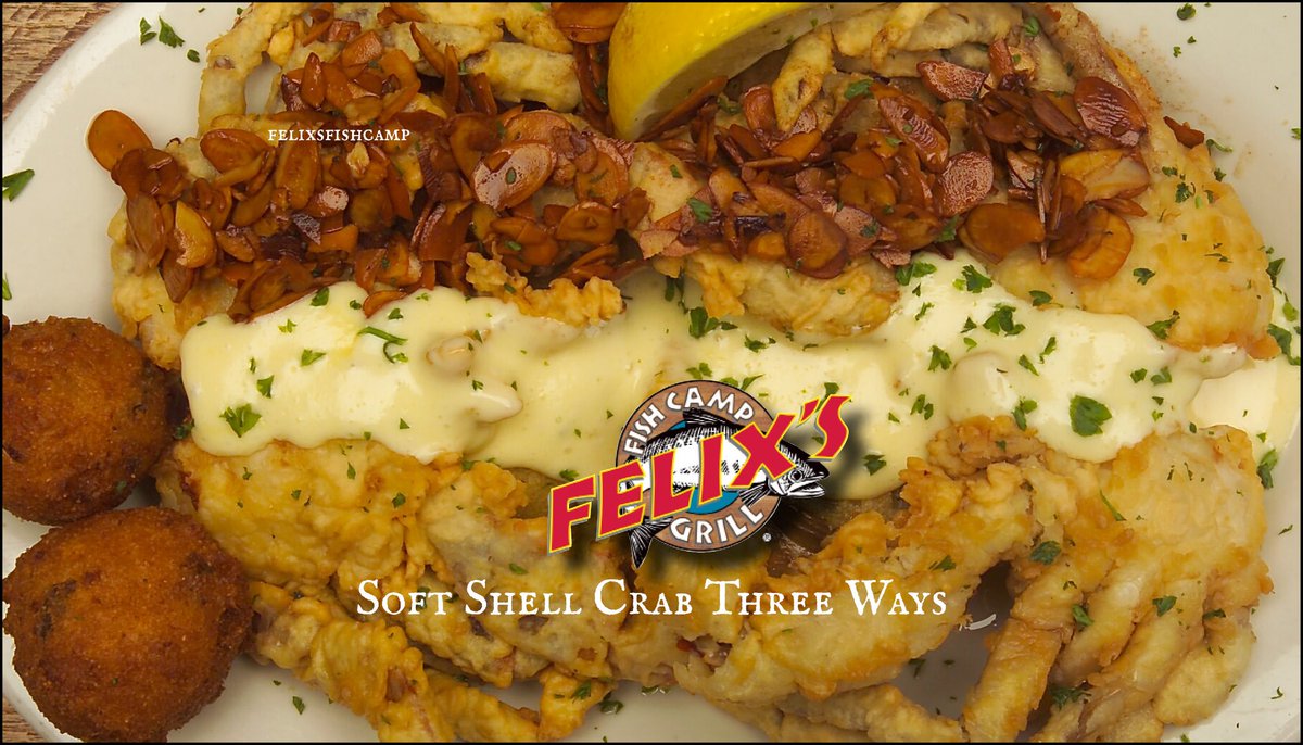 Felix's Fish Camp tweet media