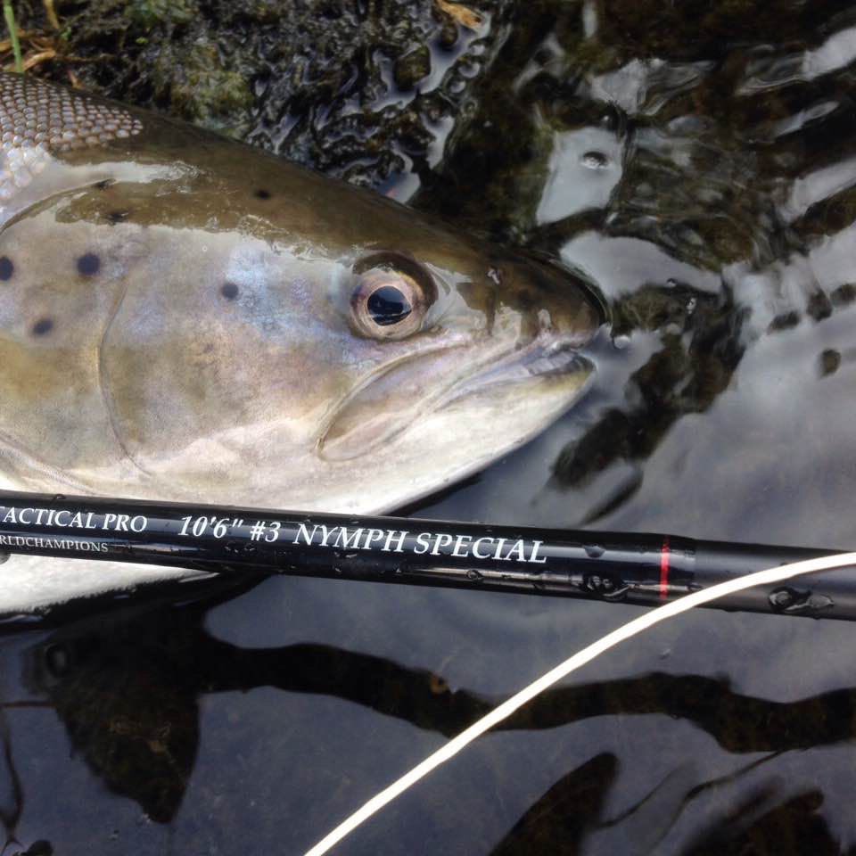 Marryat Rods tweet media