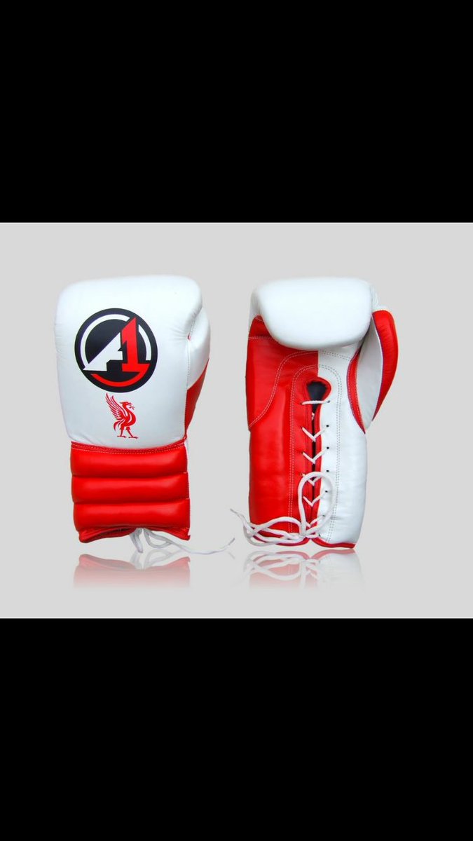a1 boxing gloves
