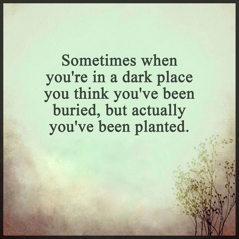 Gary Hensel (@gary_hensel) on Twitter photo 