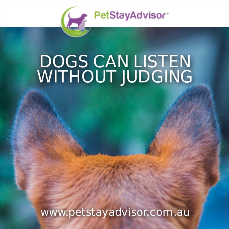 Does your dog listen without prejudice? #WisdomWednesday