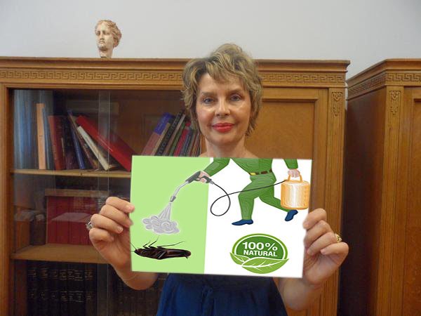 View image on Twitter