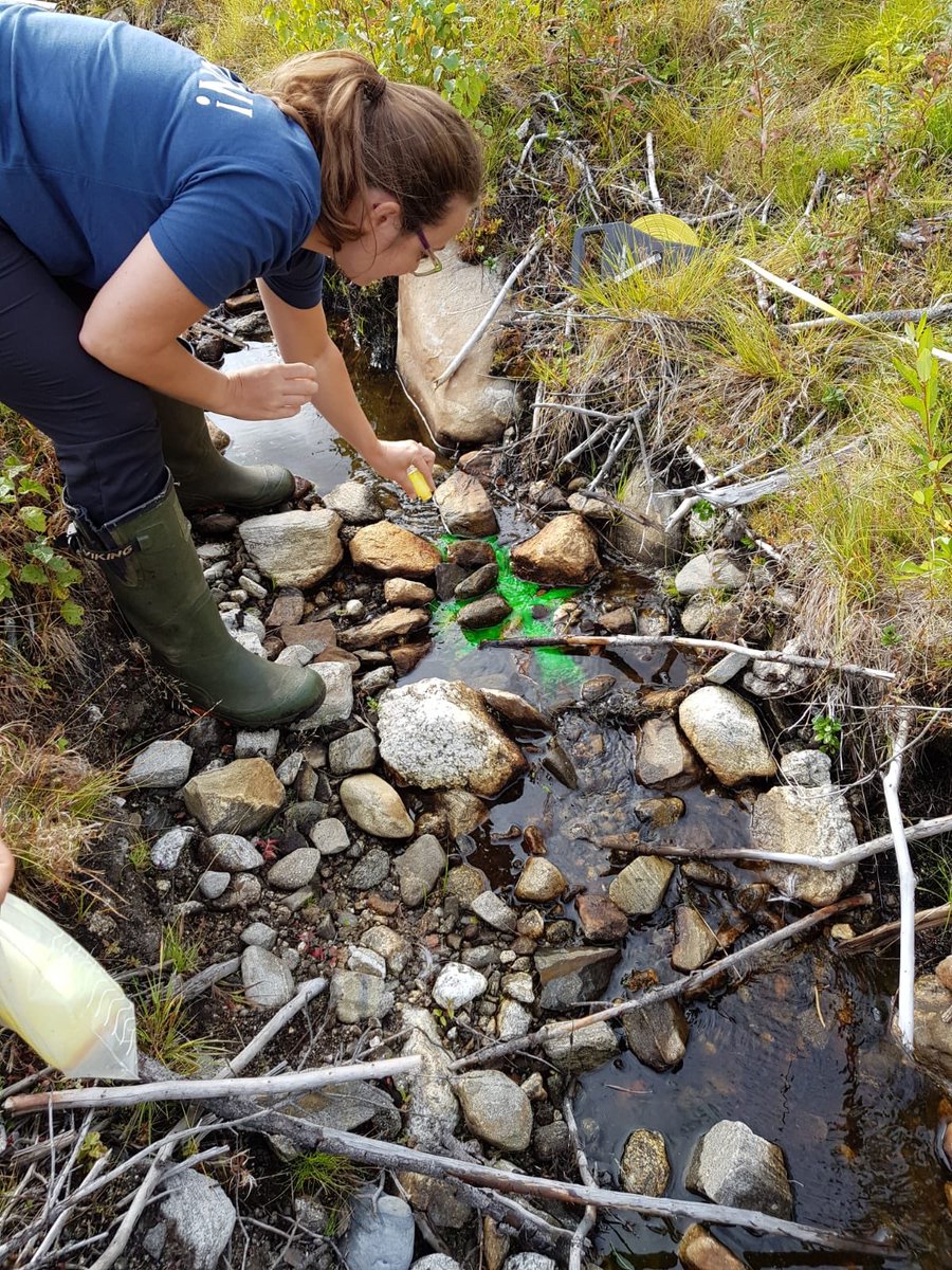Silverthorn_T's tweet photo. Great time learning from #sostpro (source stream protection) collaborators in Finland/Sweden! Thanks! @KuglerovaStRipE @JJJussi 🇸🇪🇫🇮🍃💧 https://t.co/sZJh38aWOw