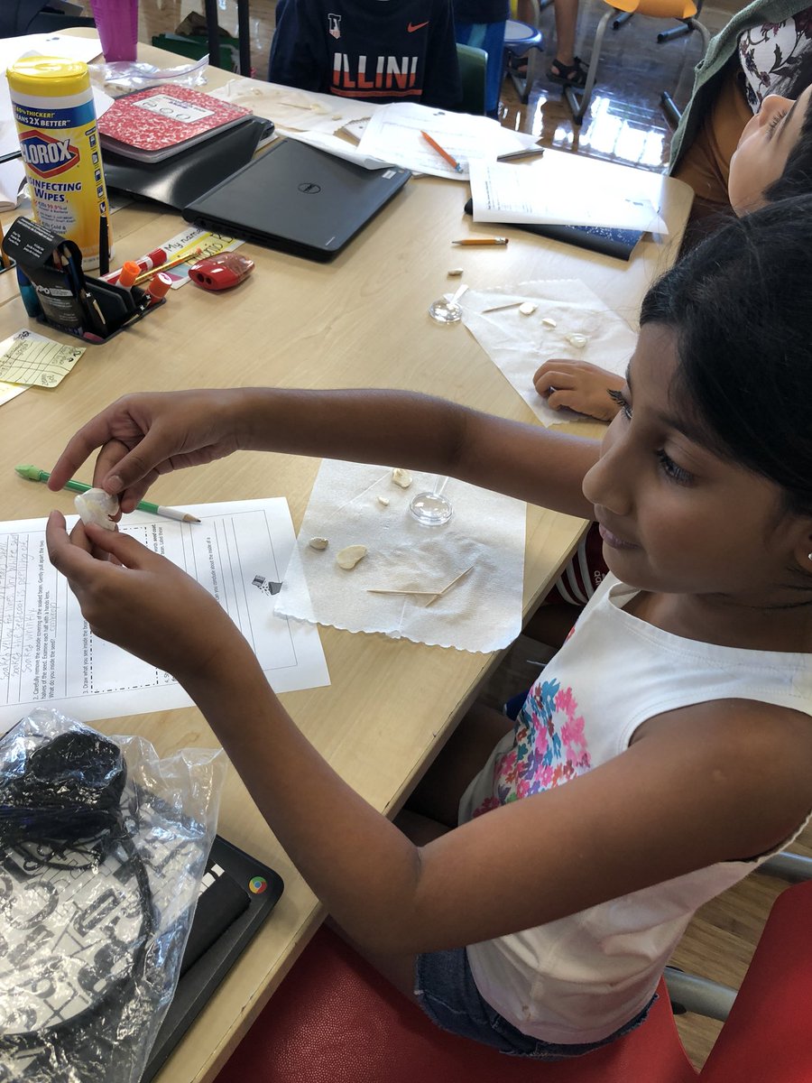 jcdsps's tweet image. @kateprichards #dunhamSTEM Ss had a busy afternoon!  4th g. Ss #reverseengineered small appliances to look at #structureandfunction of the parts. 3rd g. Ss were investigating #lifecycles with beans.