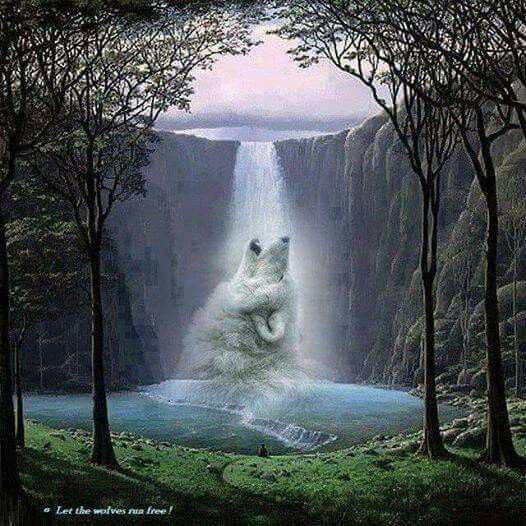 ScarletCrossBVB's tweet image. Beautiful 😍