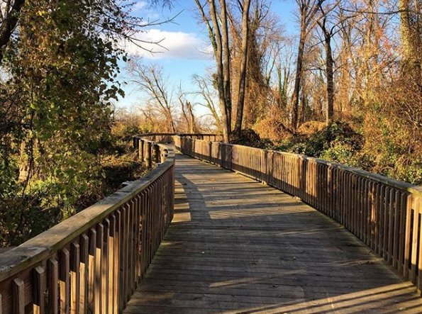 TheRemyApts tweet media