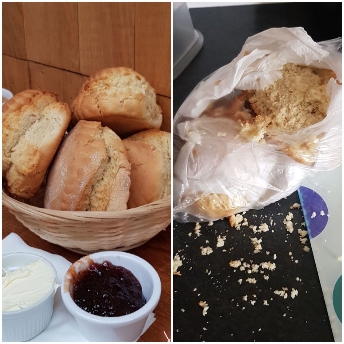 Katie1453's tweet image. When you buy scones ready for @BritishBakeOff and a random cat comes in and eats them 😭💔😭💔 #cakeless #GreatBritishBakeOff
