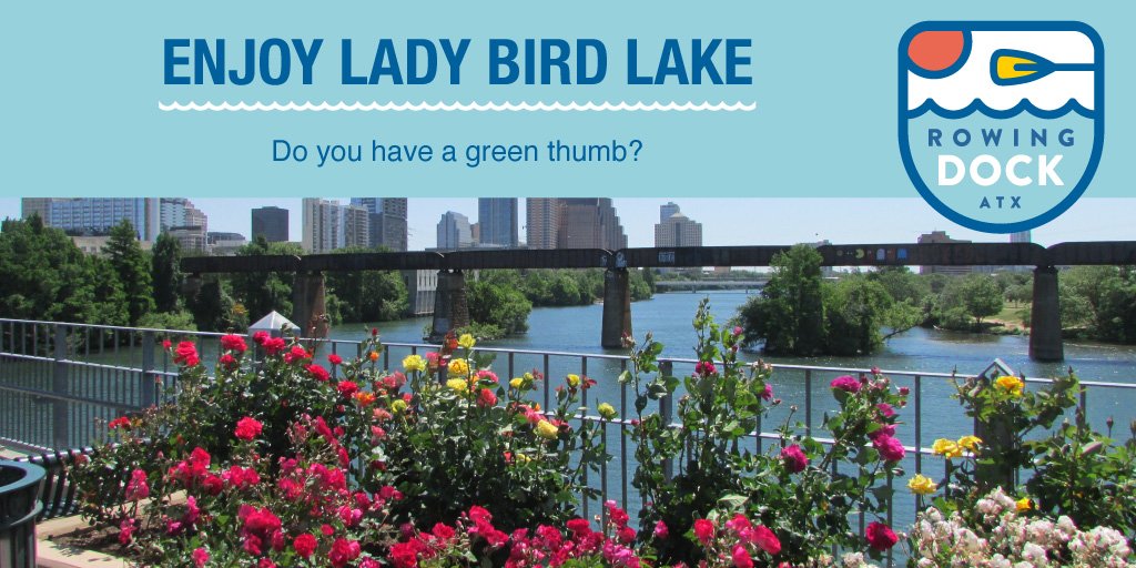 @TheTrailFoundation has an awesome Adopt-a-Garden program where anyone can design, plant, and tend to an adopted garden along Lady Bird Lake! Do you dig it? Learn more here: bit.ly/2BFF9hx #LadyBirdLakeTuesday