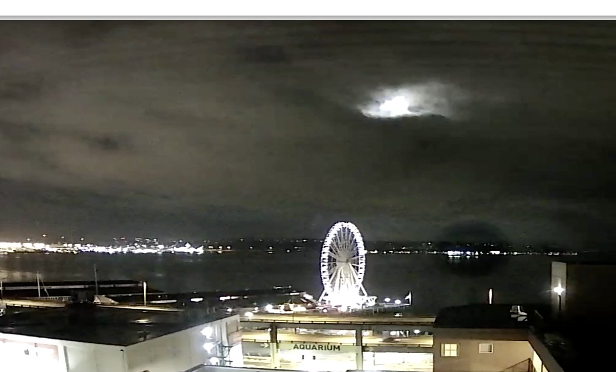 This is one of my favorite photos from the #Seattle #Waterfront #Webcam. Moonlight on Elliott Bay. 
seattlewaterfrontwebcam.com
Cc: @ScottSKOMO, <a href="/MorganKIRO7/">Morgan Palmer</a>, <a href="/komonews/">KOMO News</a> , <a href="/KIRO7Seattle/">KIRO 7</a>, <a href="/westseattleblog/">West Seattle Blog</a> , <a href="/NWSSeattle/">NWS Seattle</a>, <a href="/RavennaBlog/">Ravenna Blog</a>, <a href="/KSeattleWeather/">Seattle Weather Blog</a> <a href="/macsosguy/">Steve Sorbo🌻</a> <a href="/VisitSeattle/">Seattle</a>