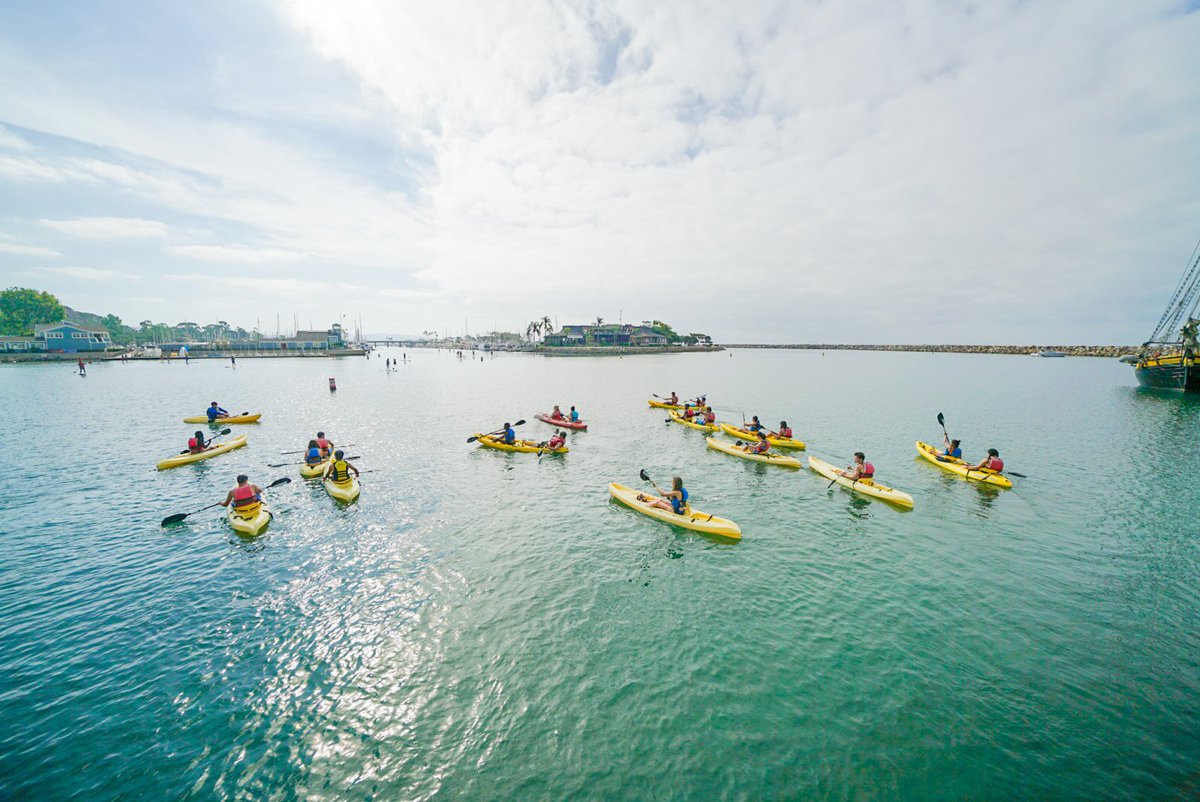pomonacollege's tweet photo. Reporting live from Orientation Adventure in Dana Point: Our forecast includes sunny skies 🌞 for our new students on Beach OA who are out there paddle boarding and kayaking 🛶. Later today, they will take part in a service project cleaning up the beach. #PomonaOA2018 https://t.co/a1JLBzWkrk