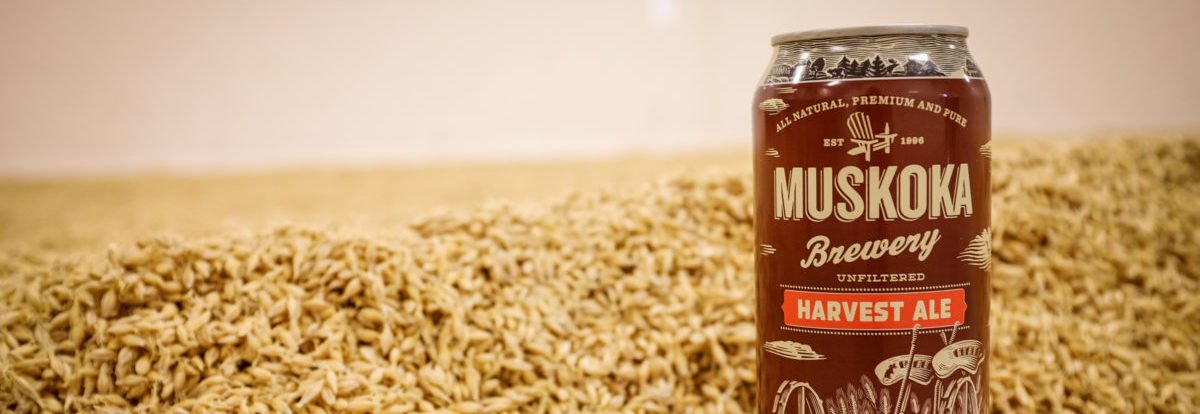 Harvest Ale from <a href="/MuskokaBrewery/">MuskokaBrewery</a> is 100% BrewON Certified, featuring hops from <a href="/TavistockHopCo/">The Tavistock Hop Co</a>. It also includes barley from <a href="/BarnOwlMalt/">Barn Owl Malt</a>, and yeast from <a href="/EscarpmentLabs/">Escarpment Labs</a>. Harvest Ale is cropping up at LCBO, Beer Store, and grocery before Labour Day. muskokabrewery.com/beer-tastes-li…