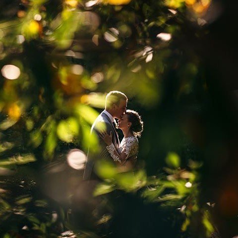 emsfreckles's tweet photo. Jessica & Sam #justmarried #throughthetrees #nature #wildandfree #woodland #bokeh #wedding #weddingphotographerdevon #weddingphotography #vsco #lookslikefilm #shootthrough #love #chasingthelight #pyneshouse https://t.co/hR0C4iXHnE https://t.co/EfiDL1Fnm6