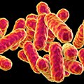 CCO_HIV's tweet photo. CME/CE/CPE-certified meeting at Season's 52 in Birmingham 9/12! Join experts in the battle against MDR Gram-negative infections during this 1-hour dinner meeting. For more info and to register: https://t.co/MW3RDZR167 #STVHealth #AUHSOP #UABMedicineMag #UABNews https://t.co/45roB6psHH