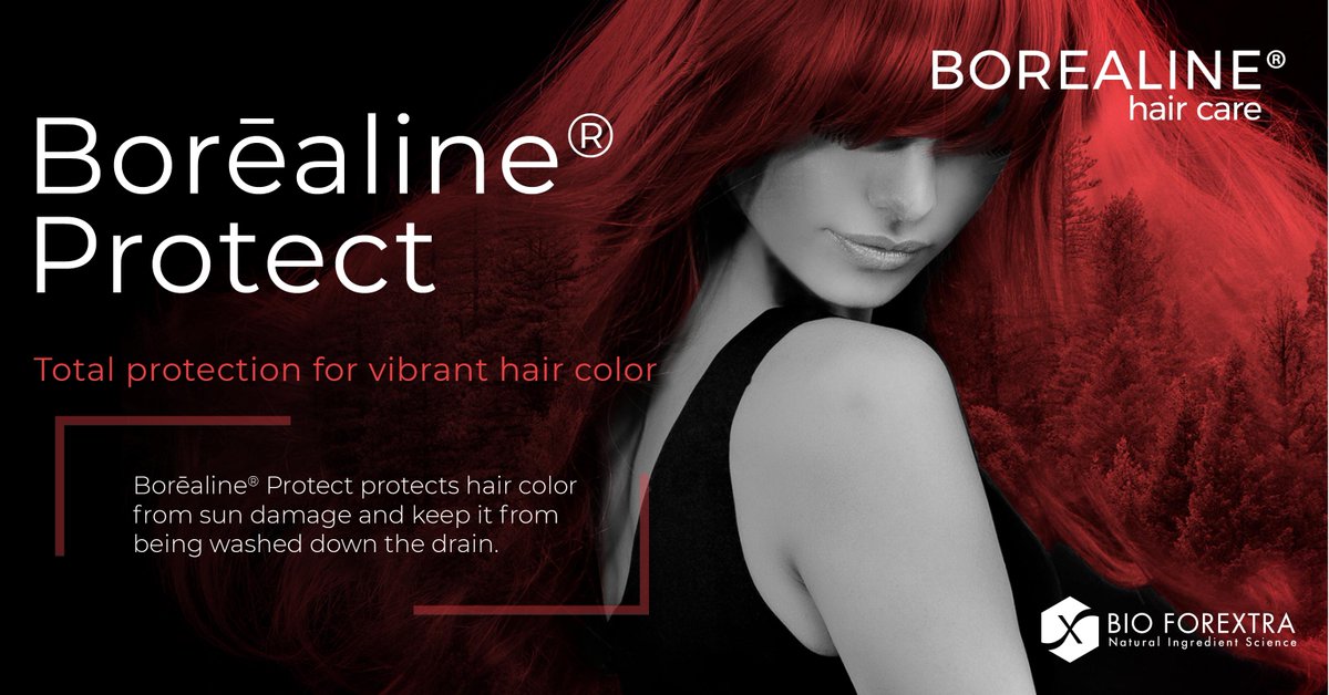 After 2 years of an applied research, we are honored to present Borealine Protect Hair Care. This extract obtained from our famous winter tree, the black spruce, is an extreme protector of hair color. #treesecret #treelovers #haircolor #retention