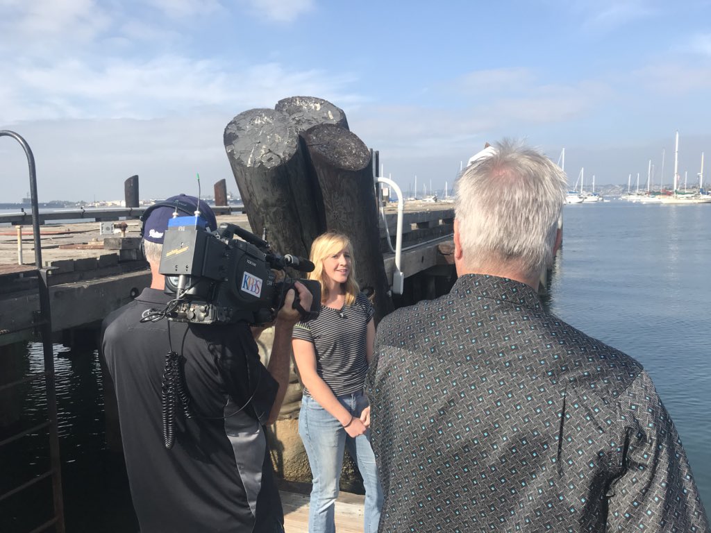 Seaweed fun fact: Not only is it good for humans (kelp is the new kale!), but cows like it, too! It reduces their methane output (a greenhouse gas), which they release while belching. <a href="/portofsandiego/">Port of San Diego</a> Chairman @RafaSanDiego &amp; <a href="/SunkenSeaweed/">Sunken Seaweed</a> spoke to @KPBSErik. Stay tuned!