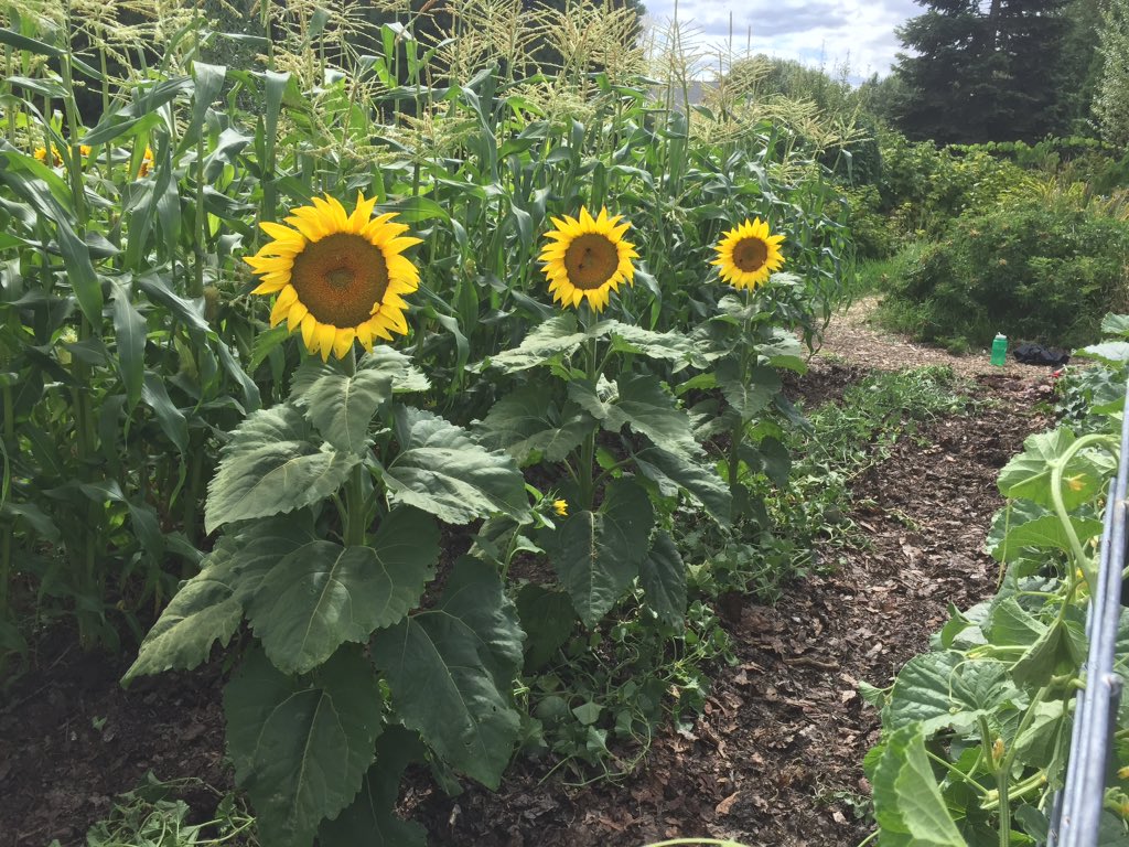 Corvallis Environmental Center tweet media