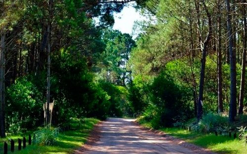 Radio_Pinamar's tweet photo. Pequeño anticipo de la primavera - Temperaturas entre 20 y 22 hasta el jueves - Oscar Vill... https://t.co/NpQofTIMKj https://t.co/Q0J0zvct8E