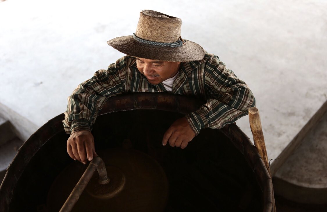 LeyendasMezcal's tweet photo. DON RODOLFO OBREGÓN - Because in region where this #agavemontana grows does not actually have any #mezcaleros, we worked with the Obregón family, who are incredible producers from Guerrero #mezcal #tamaulipas #montanaagave #artisanalmezcal #maestrosmezcaleros #masterdestiller https://t.co/MZnUH8x42t