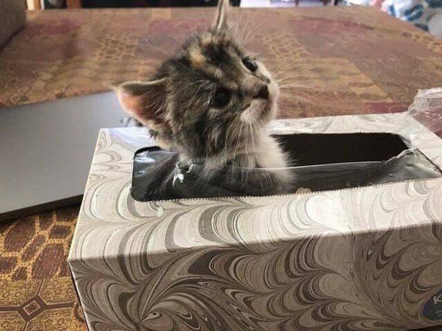 صحبتها تقول: "قعدنا ساعة ندورها"☹️