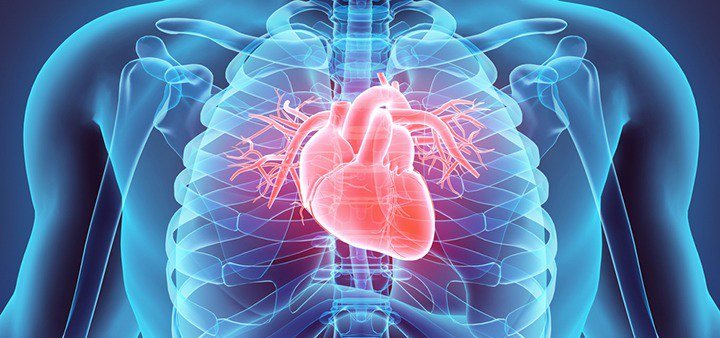 Encyclopedia of Cardiovascular