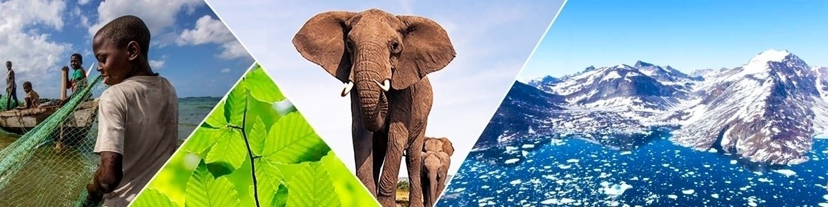 DavidRosowsky's tweet image. This is where discovery drives action. Welcome to UVM&apos;s environmental research accelerator. Learn more: uvm.edu/gund/about-us
#SolutionsStartHere @GundInstitute