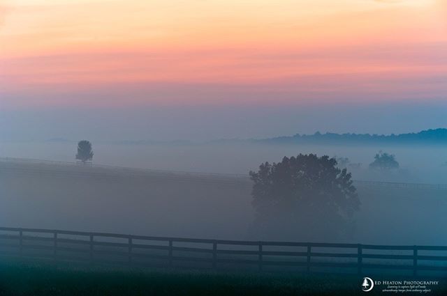 Ed_Heaton's tweet image. Hazy Hot and Humid...
edheaton.com | #OPTECHUSAAmbassador | #ImageMaster | #Hoodman | #MasterofLight | #BestofLight | #SinghRayAmbassador | #itsallaboutthelight | #MyRRS | #MytrustyRRS | #MKControls | #TopazLabs | #Kolor | #HeliconSoft | #Sto… ift.tt/2wnYVcq