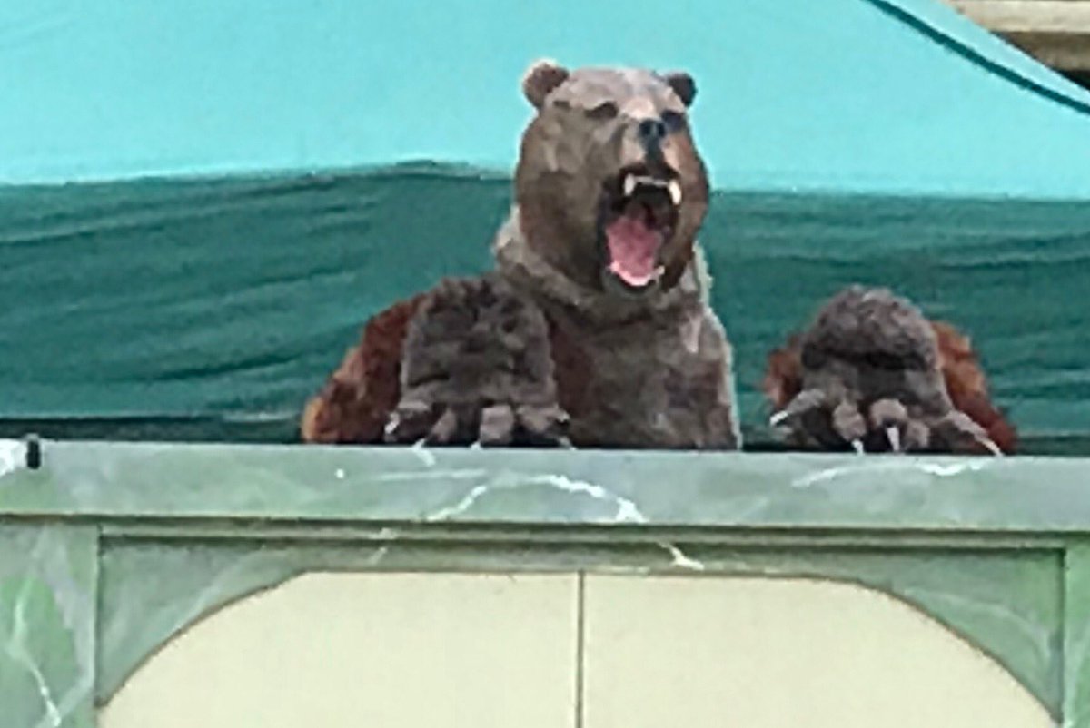 Michael Dyer tweet media