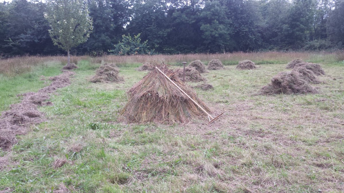MillsofNI's tweet image. No more hay making this year. Way late in the season. Backbreaking work but glad i tried it out. More time now for mill research.