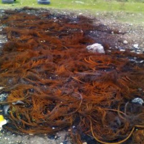 Ecosin's tweet photo. Cumuli di #rifiuti tecnologici, frigoriferi, computer, televisioni o pneumatici nelle immediate periferie che poi vengono dati alle fiamme per recuperare i metalli: un traffico clandestino che nessuno argina, un allarme #ambientale e sanitario inascoltato.
https://t.co/c6YVu8As9T https://t.co/1YU9S9YGCU