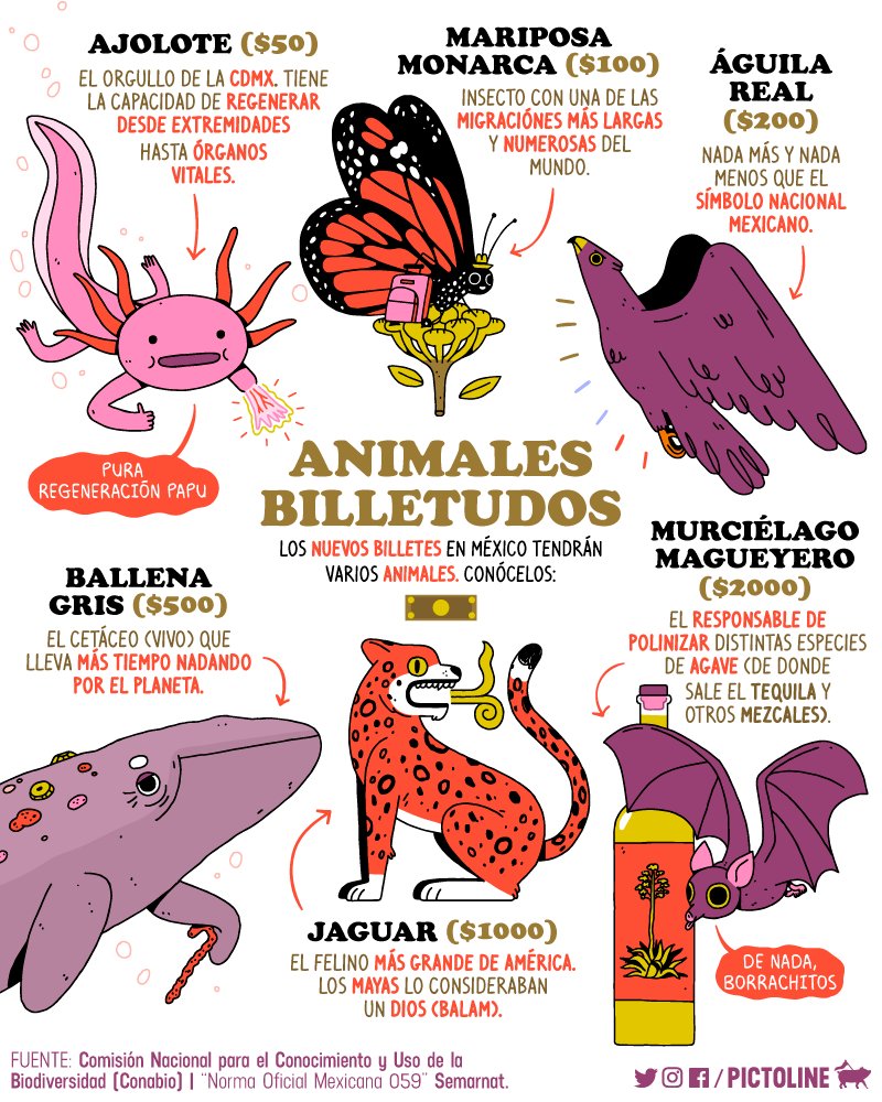 Animales en billetes = Epic Win 😍💸