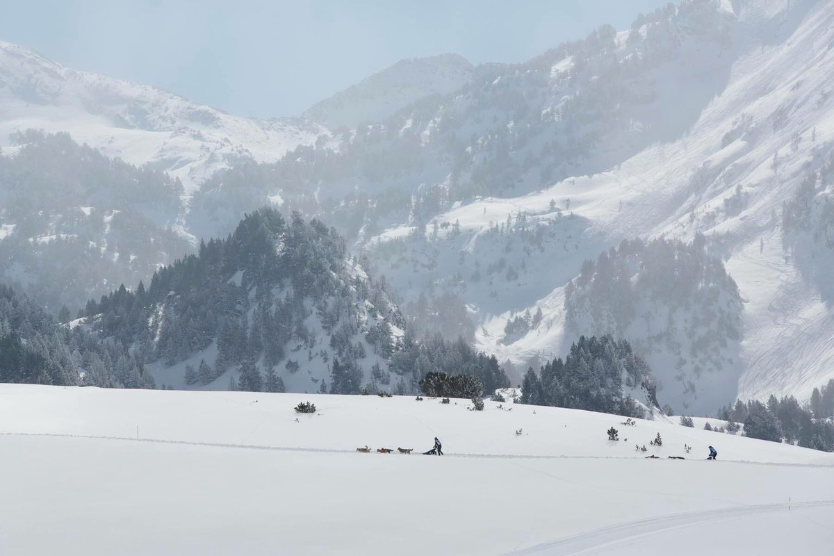 GosArtic's tweet photo. Tenim tantes ganes de tornar a veure i viure una escena així... Ja falta menys! Del 18 al 22 de febrer, Snow Race by Gos Àrtic. Torna l'autèntic esperit de la ruta blanca dels Pirineus! https://t.co/0A8sDZUmjL