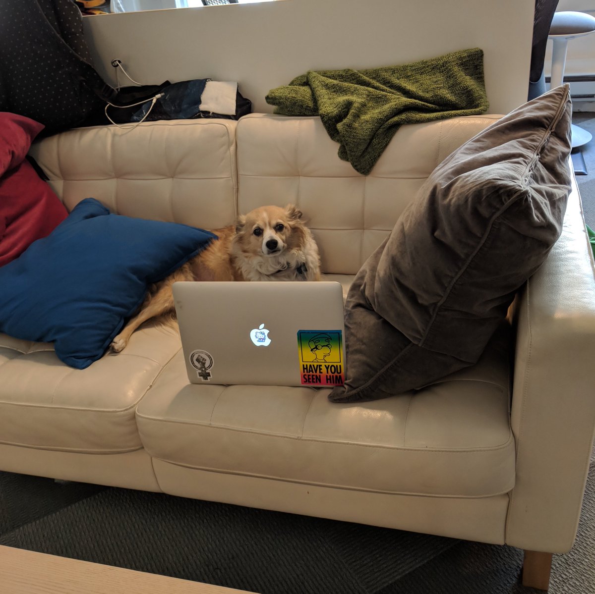 EventbaseTech's tweet photo. if ((borkVolume < 10) &amp;&amp; (borkCount < 5)) {
  goodDog = true;
  treats++;
}
#dogsofeventbase https://t.co/pF8LsXH23S