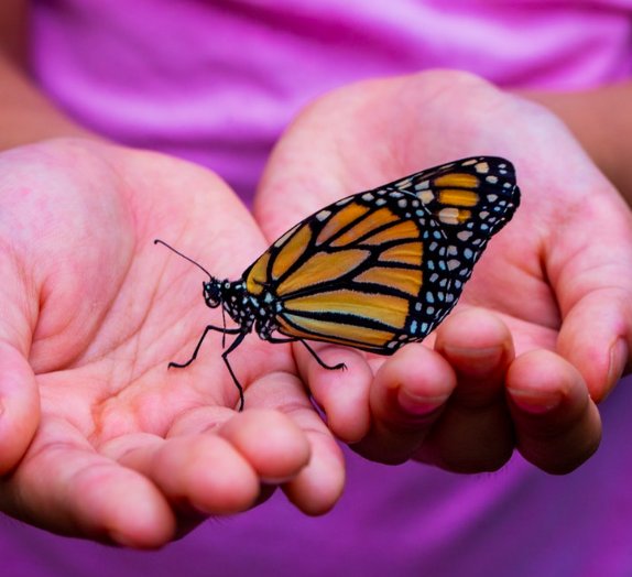 Leigh_longhurst's tweet photo. Aha Integral Coaching quite simply transforms your life. Book an appointment to start your transformation journey. #transformationtuesday #lifetransformation #theahaqueen #integralcoaching #lifecoach #lifecoaching #counselling #personaljourney https://t.co/TEWR5AUQQT