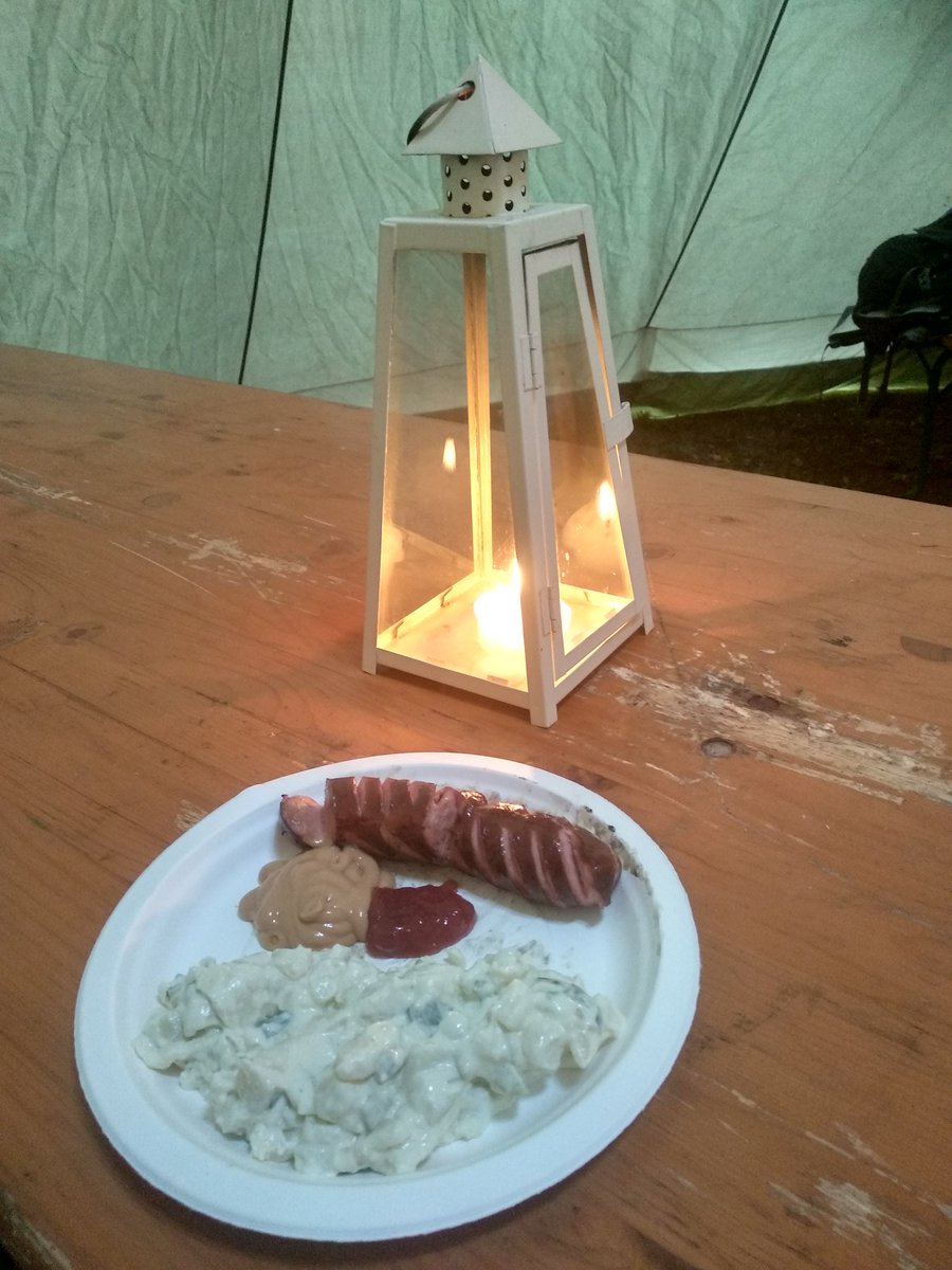 mcer33's tweet photo. @metamaterials18 Thanks for a great relax in a beautiful Finnish nature after today's exciting #metamaterials18 session. Sausages roasted on fire were a cool idea:) https://t.co/C9MDuXPeZl
