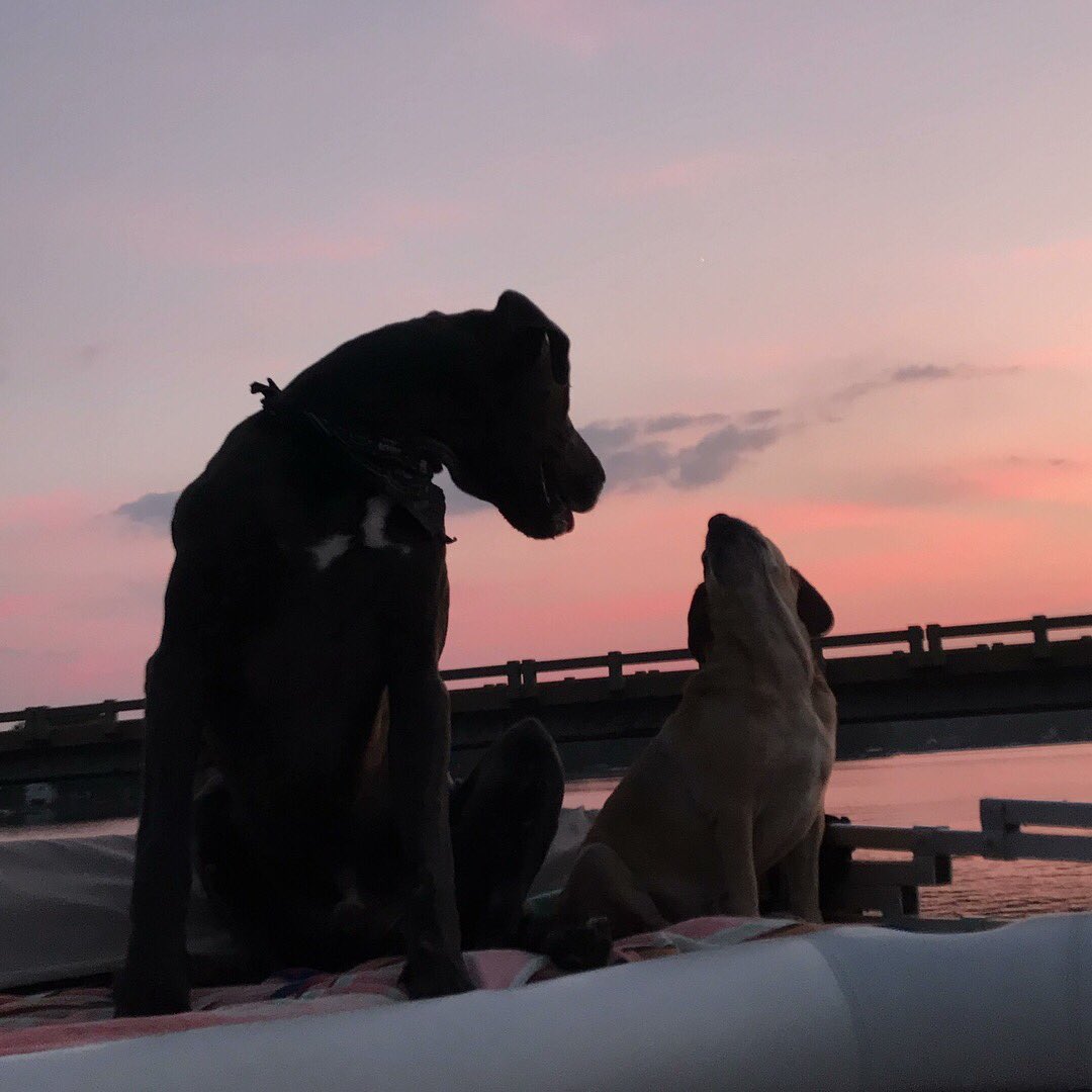 McLean Harper tweet media