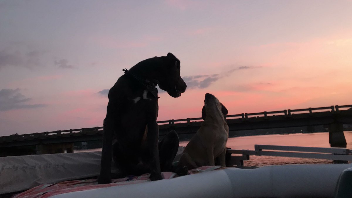 McLean Harper tweet media