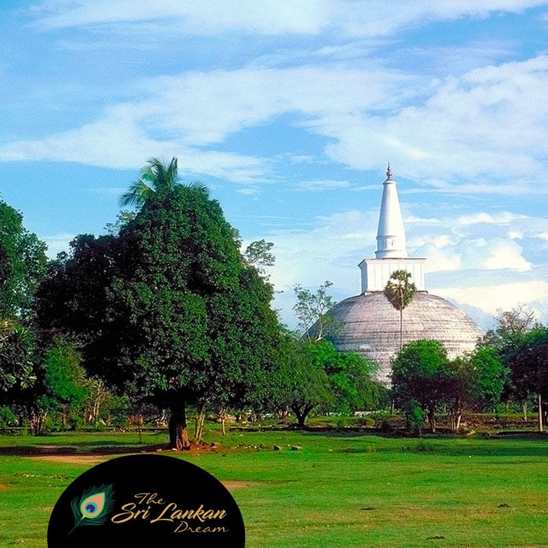 srilankandream's tweet photo. Sacred City of Anuradhapura #Ancient #kingdom of #SriLanka and a #UNESCO #WorldHeritage site in Sri Lanka. Enjoy the #tours with @srilankandream https://t.co/clG0tUbiSs #culture #heritage #Kingdom https://t.co/oeMGg2WE1a