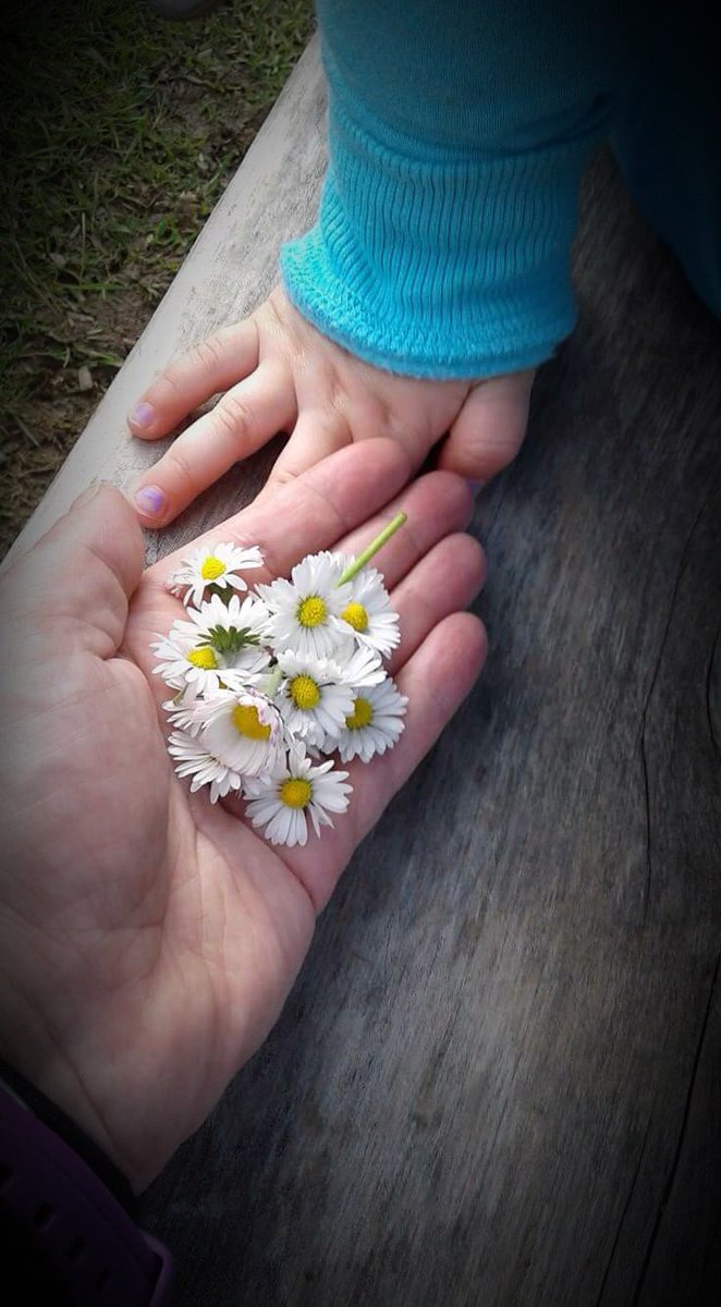PinfoSna's tweet photo. With spring coming hayfever time is coming. Consider asking your pharmacist about over the counter cortisone nasal sprays #hayfever https://t.co/nLLMv62L9v